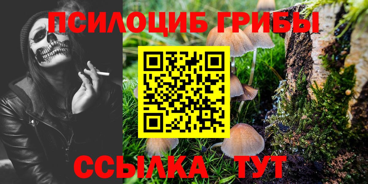 Псилоцибиновые грибы GOLDEN TEACHER Петровск
