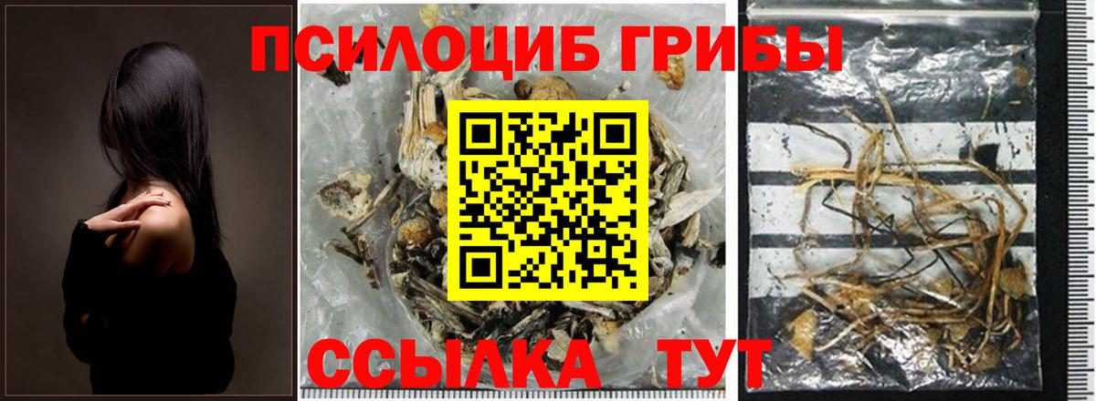 Петровск  Псилоцибиновые грибы прущие грибы  Вход с VPN  Галлюциногенные грибы мухоморы 
